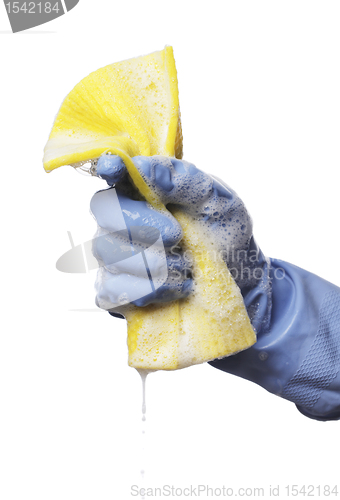 Image of Cleaning Cloth