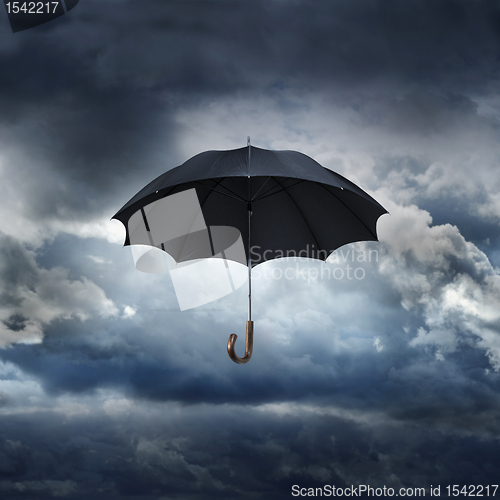 Image of Umbrella