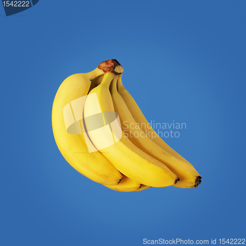 Image of Bananas