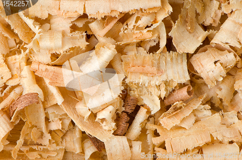 Image of Wood shavings