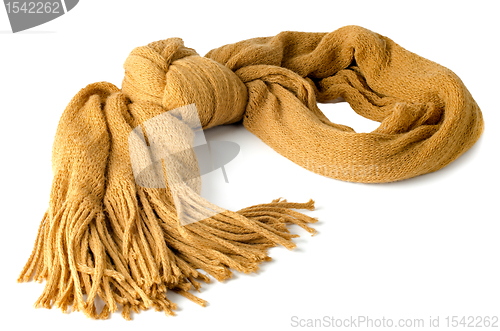 Image of Yellow scarf