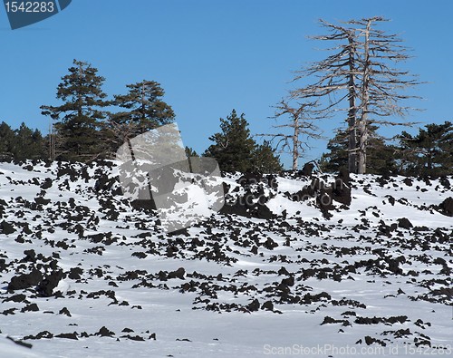 Image of Lava field covered with snow  on Etna volcano, Sicily