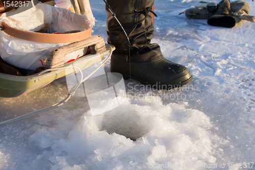 Image of perch fishing 3