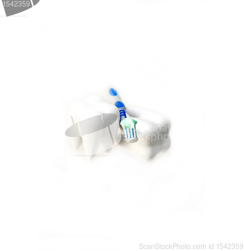 Image of two teeth and brush isolated on white