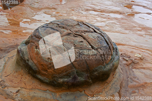 Image of Yehliu Geopark Taiwan