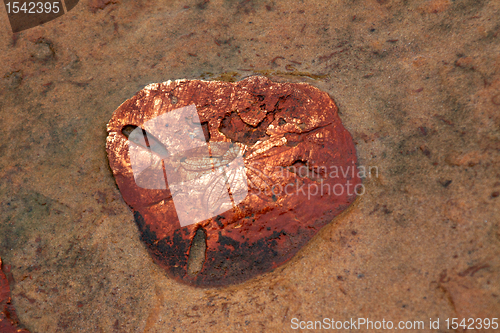 Image of Yehliu Geopark Taiwan