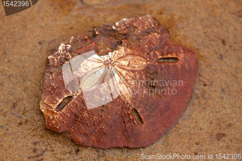 Image of Yehliu Geopark Taiwan