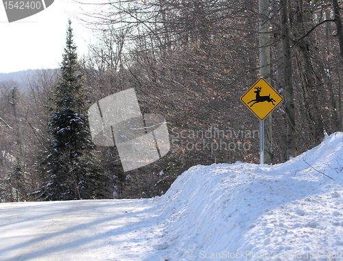 Image of deer road sign
