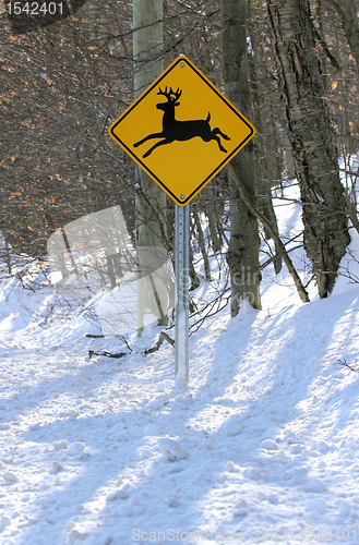 Image of deer road sign