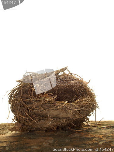 Image of Birds Nest