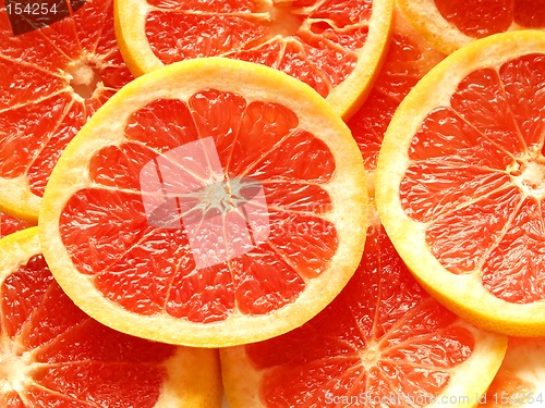 Image of Grapefruit