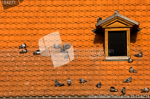 Image of Prague's red roof