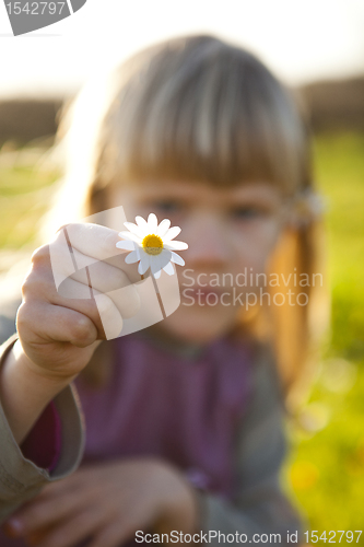 Image of Little girl outdoors