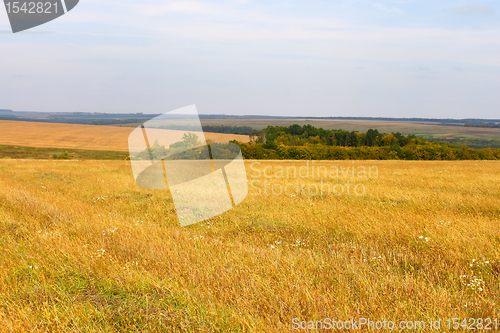 Image of Rural autumn landscape