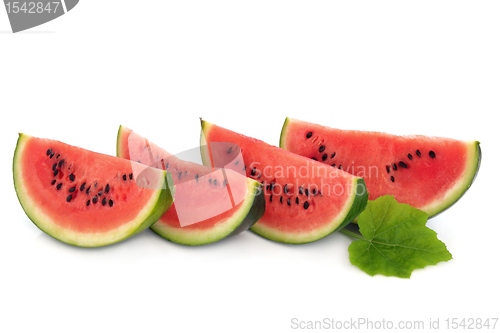 Image of Watermelon Fruit