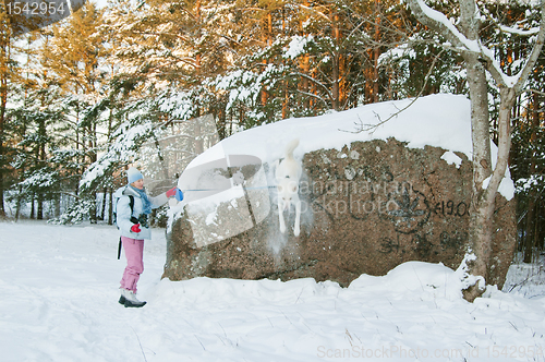 Image of The woman with a dog in winter on walk