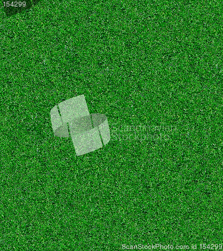 Image of Artificial Grass