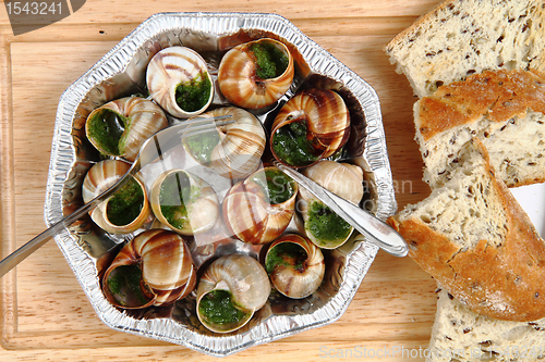 Image of snails - french gourmet food