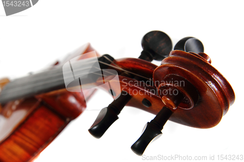 Image of violin details