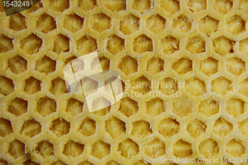Image of bee wax background