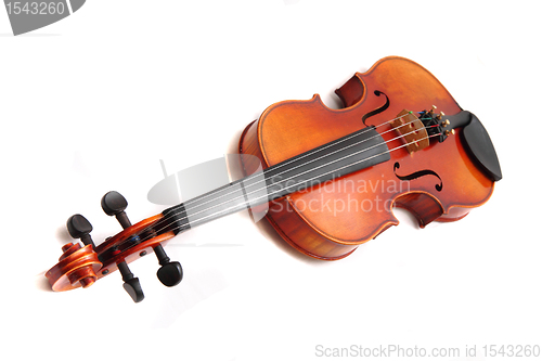Image of old violins isolated on the white background