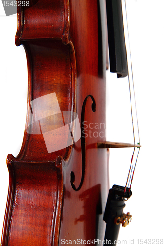 Image of violin details