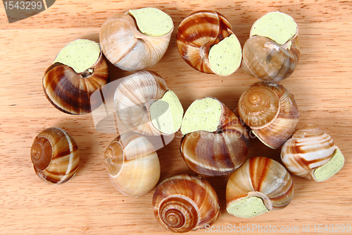 Image of snails - french gourmet food