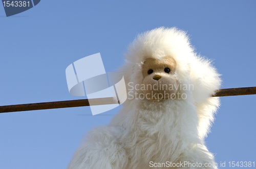 Image of Bushy white plush monkey doll on background of sky 