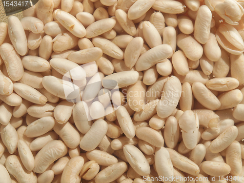 Image of Beans salad