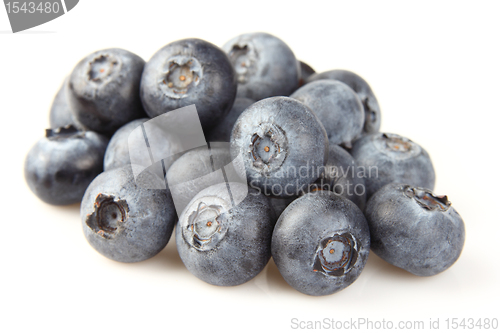 Image of Blueberry