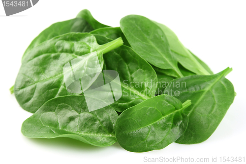 Image of Fresh spinach salad