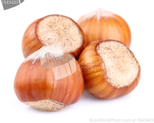 Image of Dried hazelnuts