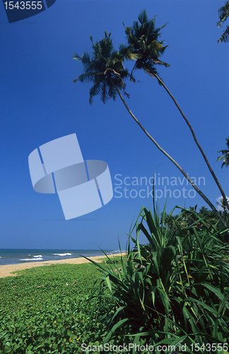 Image of Kalutara  beach Sri Lanka