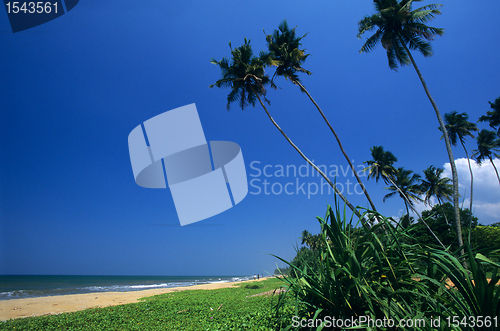 Image of Kalutara  beach Sri Lanka