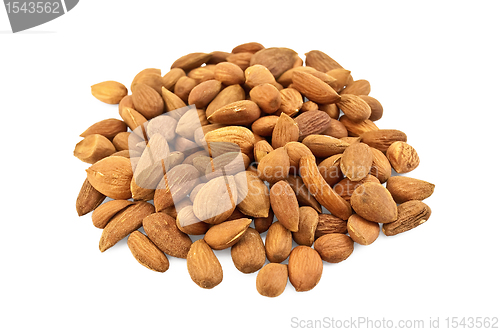 Image of Almond