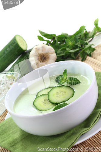 Image of Cucumber soup