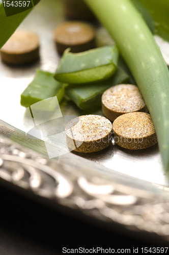 Image of Aloe vera - herbal medicine 