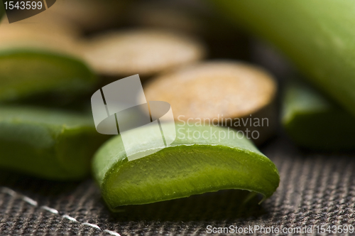 Image of Aloe vera - herbal medicine 