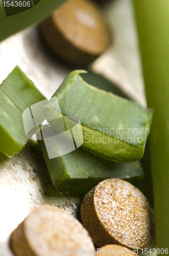 Image of Aloe vera - herbal medicine 