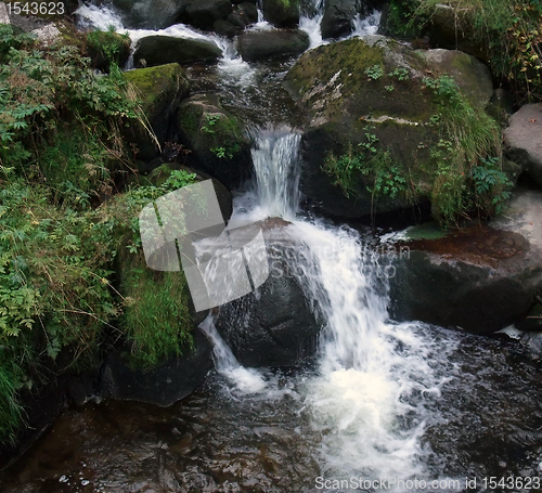 Image of Triberg Waterfalls in the Black Forest