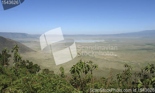 Image of Ngorongoro Conservation Area in Africa