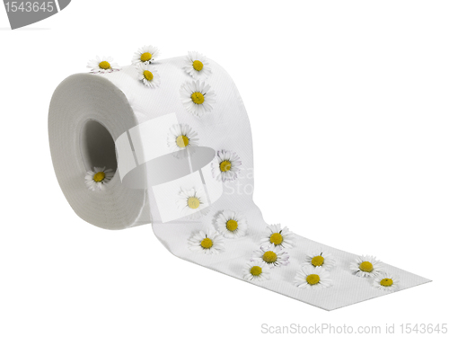 Image of toilet paper roll decorated with daisy flowers