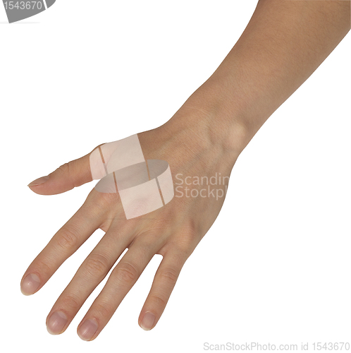 Image of relaxed feminine hand