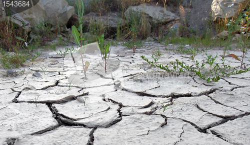 Image of chapped desert border