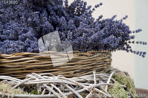 Image of lavender arrangement detail