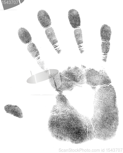 Image of palm of hand print