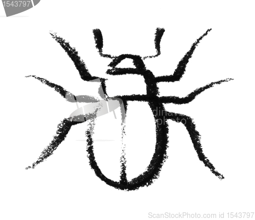 Image of sketched beetle