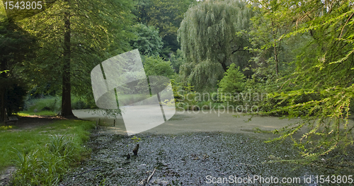 Image of overgrown tarn in the Liliental