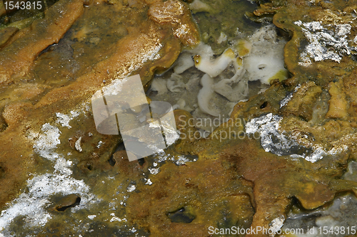 Image of detail of hot spring organics