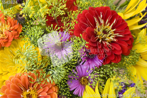 Image of colorful flower background